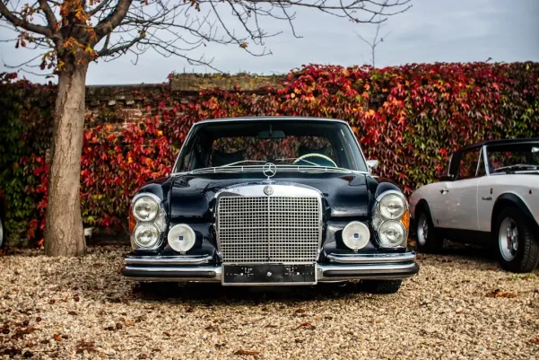 BlueChip Casino App Android/iOS